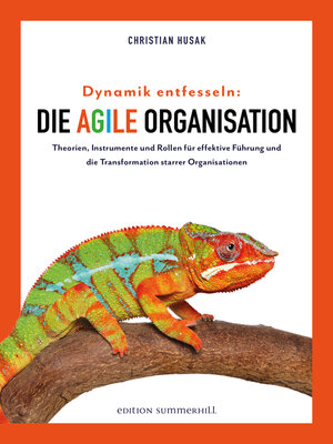 cover image of Dynamik entfesseln